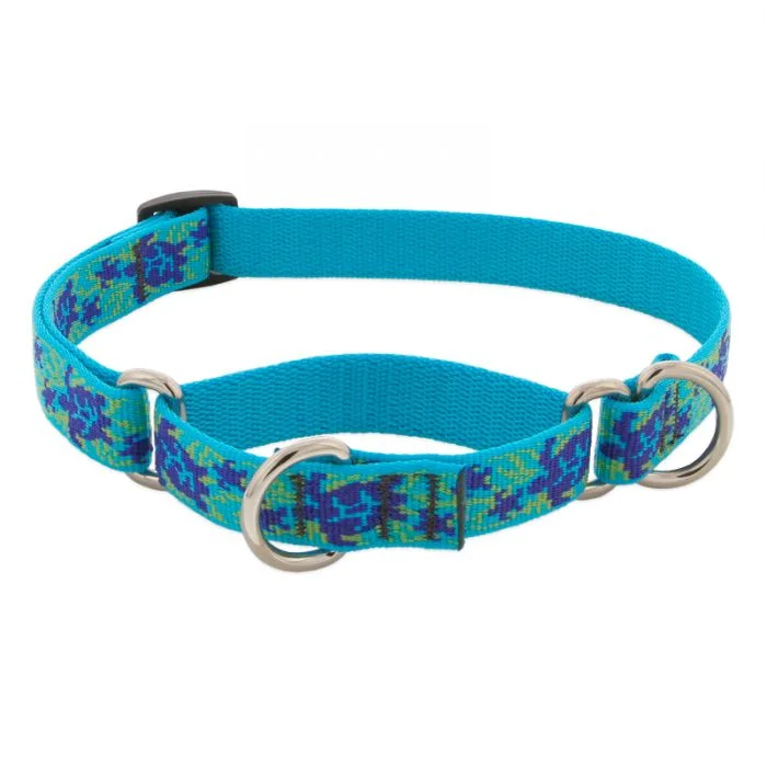 - Rabbit grass rack to prevent waste food boxLupine Pet Original Designs Martingale Training Collar - Rabbit grass rack to prevent waste food boxLupine Pet Original Designs Martingale Training Collar