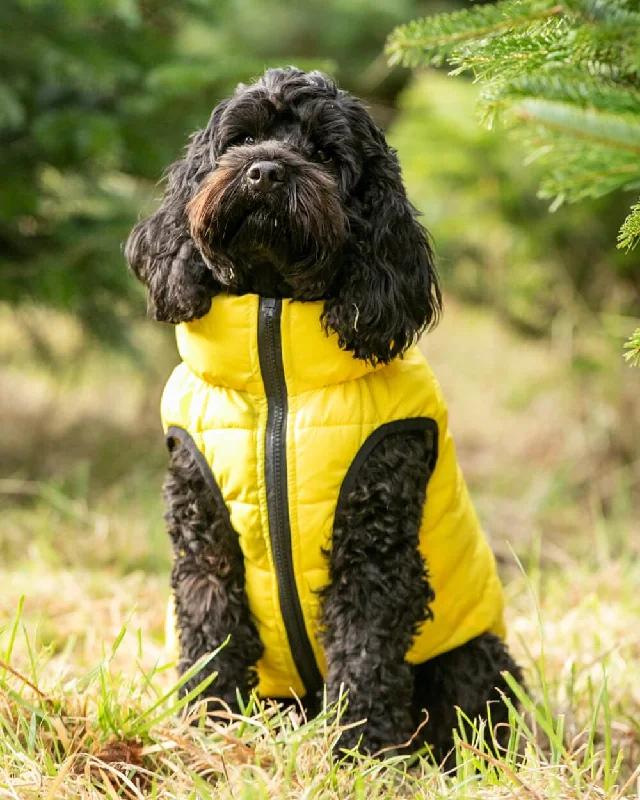 - Pet stroller can be taken on the planeReversible Dog Puffer Jacket - Yellow and Grey - Pet stroller can be taken on the planeReversible Dog Puffer Jacket - Yellow and Grey