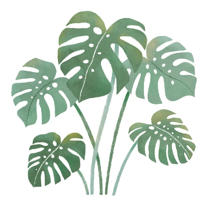 ---YATSUNI Jungle | Wall Decals Monstera Leaves TUBE