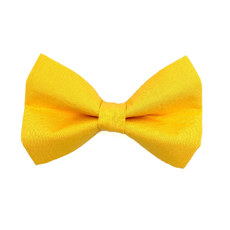 - Parrot climbing and standing wooden frameYellow Dog Bow Tie