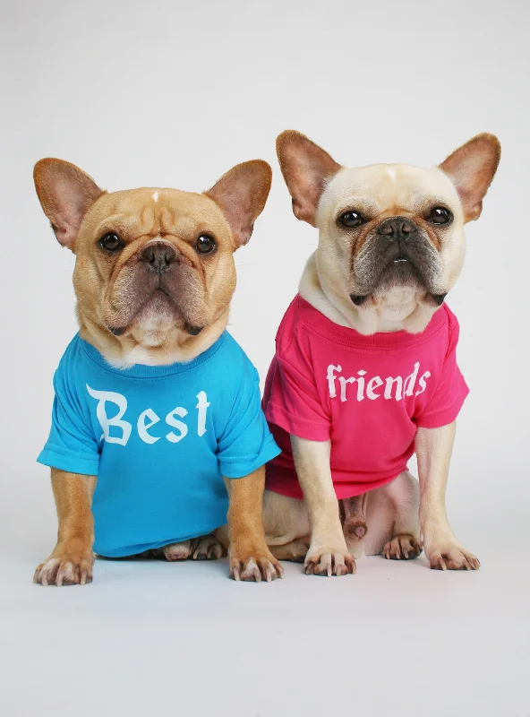 Winter warm clothes for catsBest Friends (2-Pack) Dog Tee