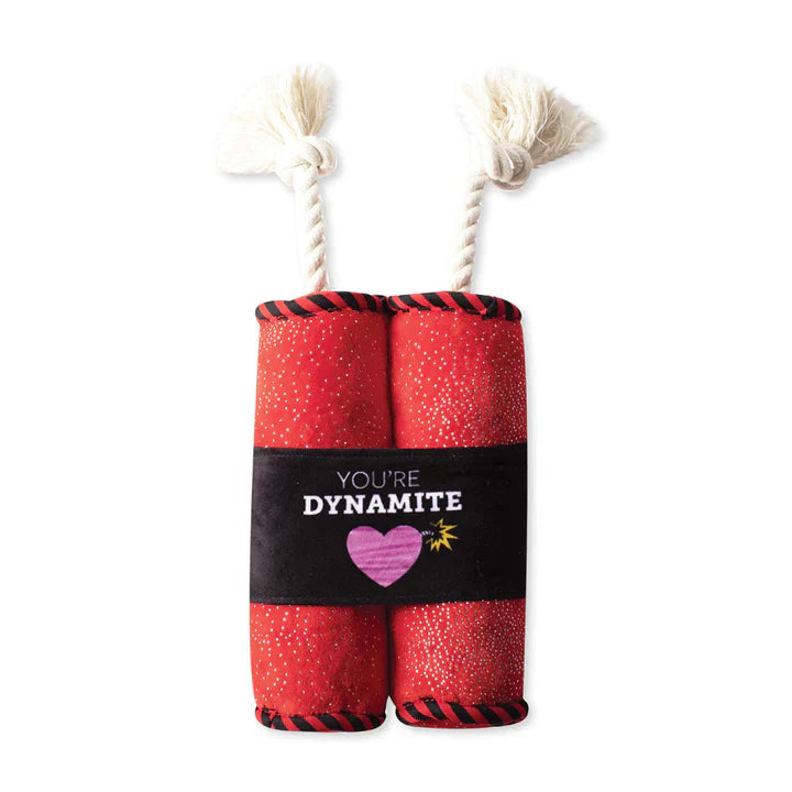 ---Petshop You're Dynamite Rope Dog Toy