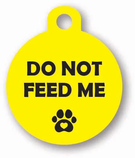- Remote interactive pet feederRound Cat Collar Tag