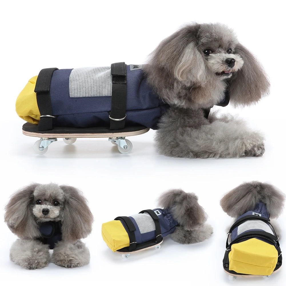 - Elderly dog joint care mattressAnniePaw Dog Drag Bag for Paralyzed Pets Wheelchair Alternative Protects Chest - Elderly dog joint care mattressAnniePaw Dog Drag Bag for Paralyzed Pets Wheelchair Alternative Protects Chest