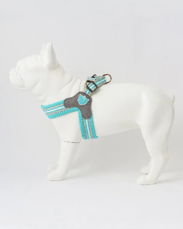 - Rabbit grass rack to prevent waste food boxEasy Walk V Dog Harness - Aqua