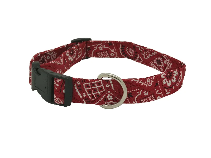 - Elderly dog ​​joint care mattressRodeo Dog Collar