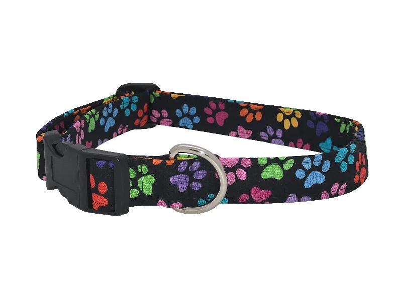 - Pet smart GPS locatorColorful Paws Cat Safety Collar