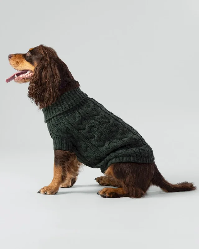 Pet ProductsCable Knit Pullover Dog Jumper - Green