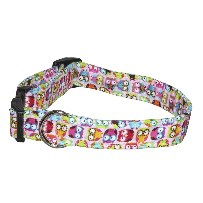 - Cat anti-jump window safety netOwls Breakaway Cat Safety Collar