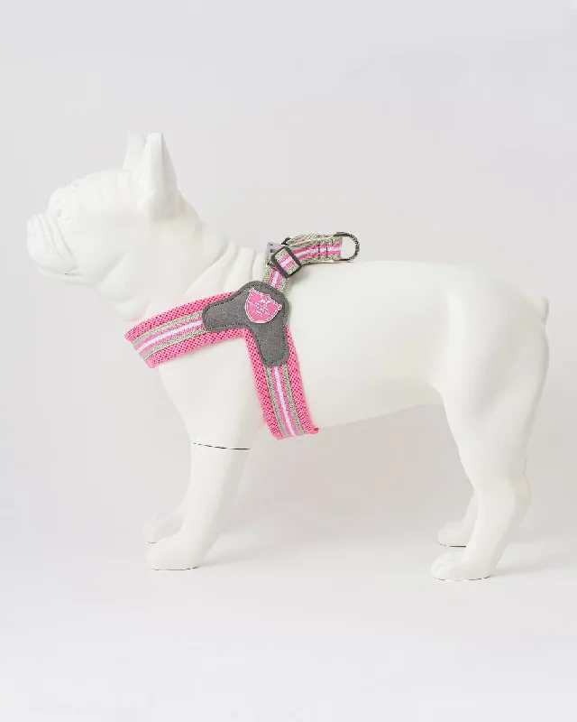- Teething and chewing toys for puppiesEasy Walk V Dog Harness - Pink