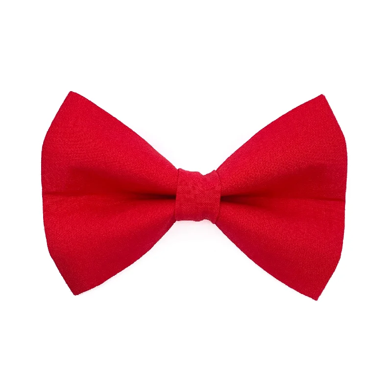 - Cat nail clippers with LED lightsRed Dog Bow Tie