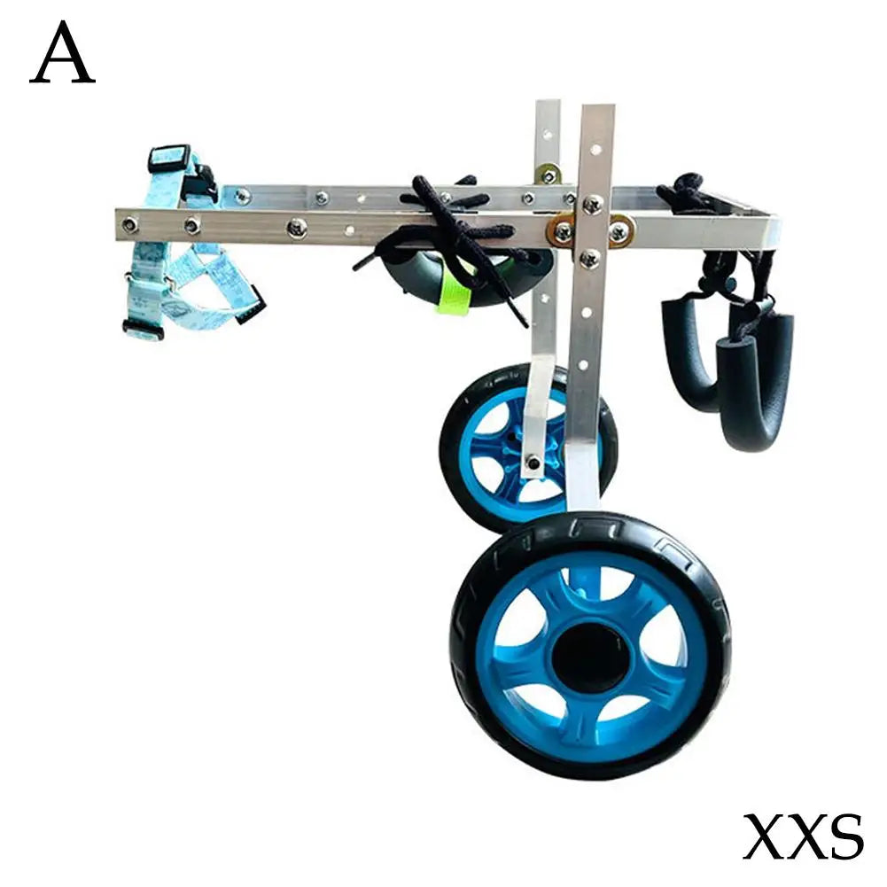 XXS