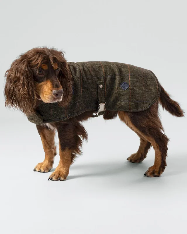 ---Dark Green Checked Herringbone Tweed Dog Jacket