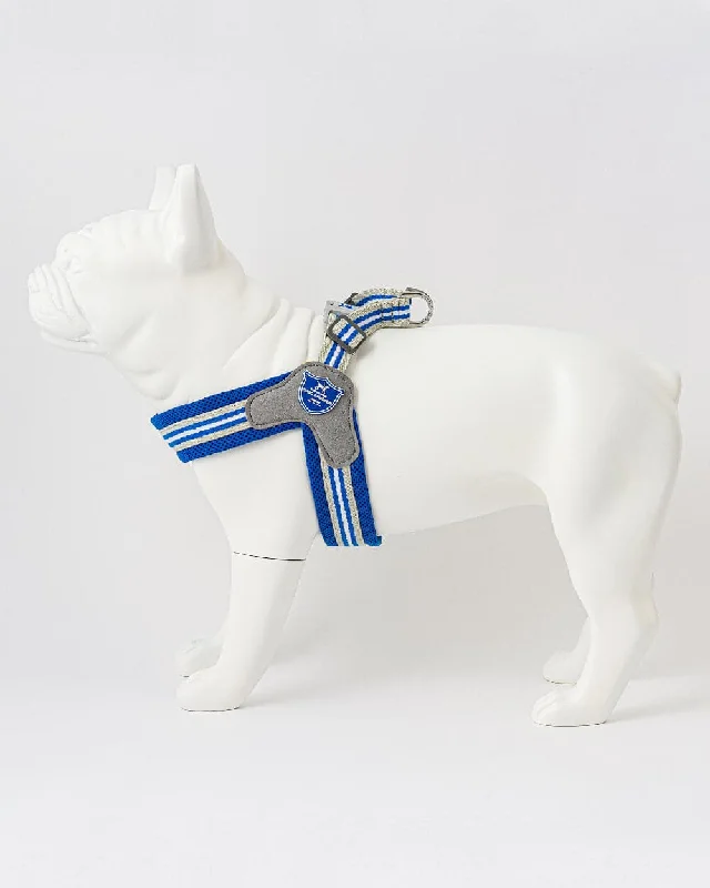 - Cat nail clippers with LED lightsEasy Walk V Dog Harness - Royal Blue