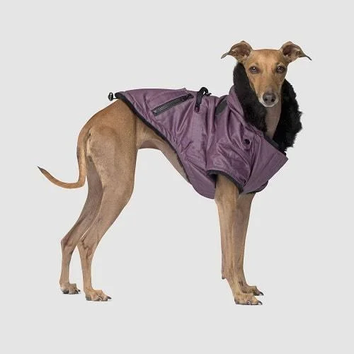 - Automatic induction pet water dispenserUrban Wax Parka Dog Coat*