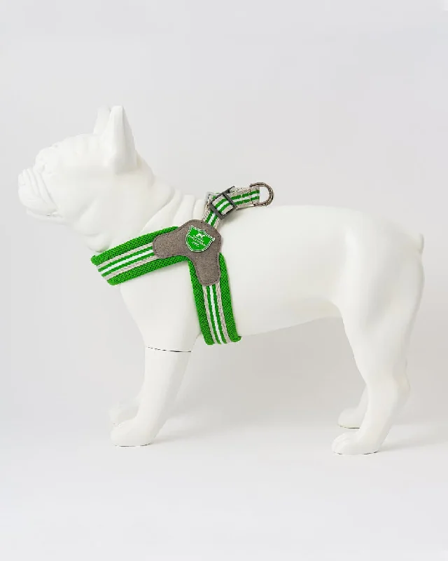 - Pet tear stain cleaning wipesEasy Walk V Dog Harness - Green