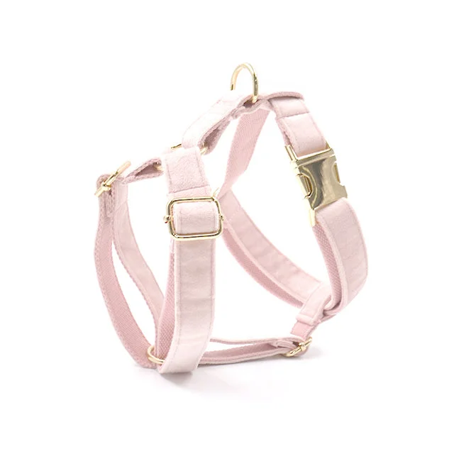 Pet anti-allergic clothesVelvet Dog Harness w/ Bow