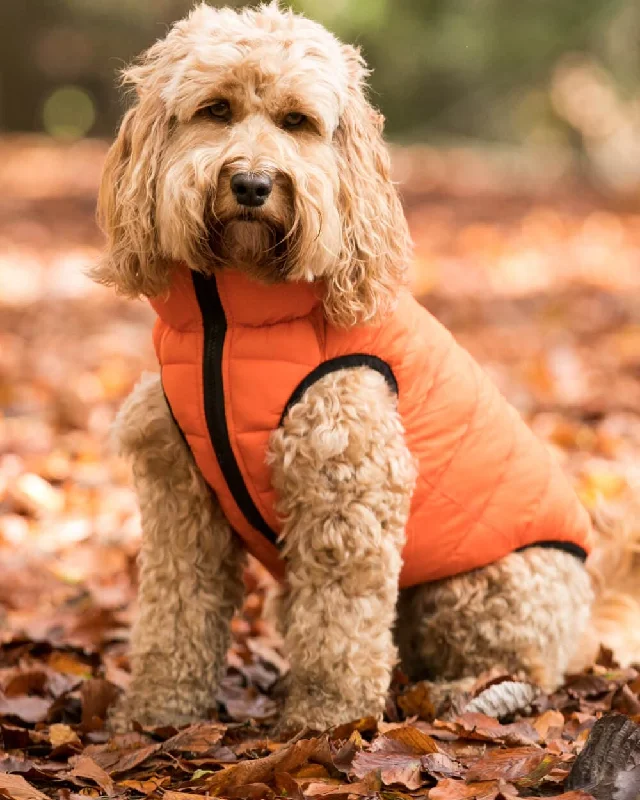 - Pet water dispenser UV sterilization versionReversible Dog Puffer Jacket - Orange and Navy - Pet water dispenser UV sterilization versionReversible Dog Puffer Jacket - Orange and Navy
