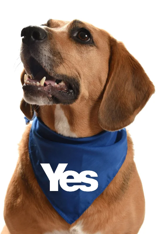- Foldable and portable cat bagYes dog bandana - for dugs who support Scotttish independence - Foldable and portable cat bagYes dog bandana - for dugs who support Scotttish independence