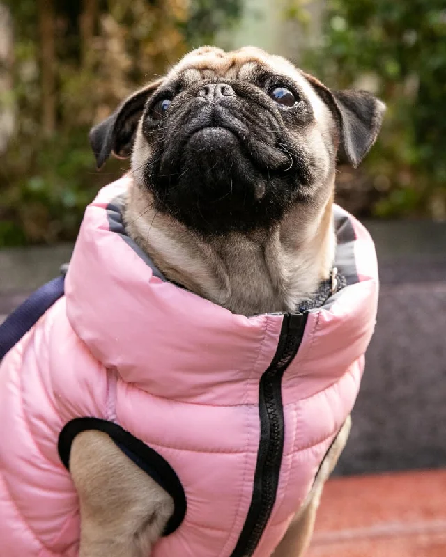 - Air box TSA certified check-inReversible Dog Puffer Jacket - Light Pink and Grey