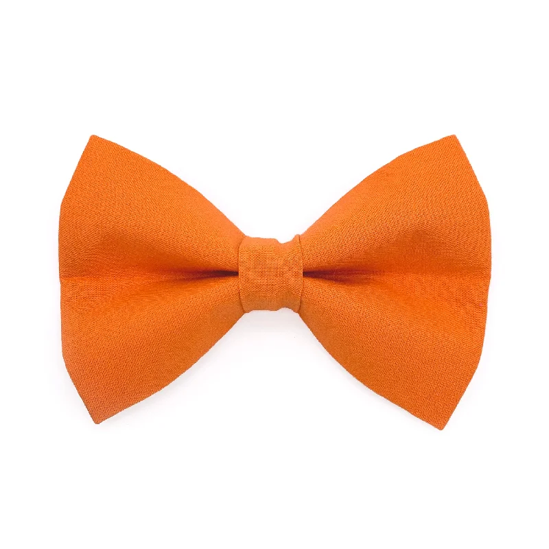 - Hamster silent running wheel to prevent chewingOrange Dog Bow Tie