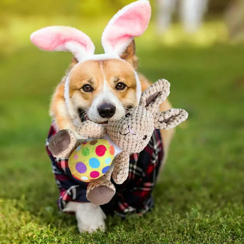 - Postoperative pet anti-licking Elizabethan collarAnniepaw Plush Easter Rabbit Squeaky Chew Toy for Puppies Interactive Wear-Resistant - Postoperative pet anti-licking Elizabethan collarAnniepaw Plush Easter Rabbit Squeaky Chew Toy for Puppies Interactive Wear-Resistant