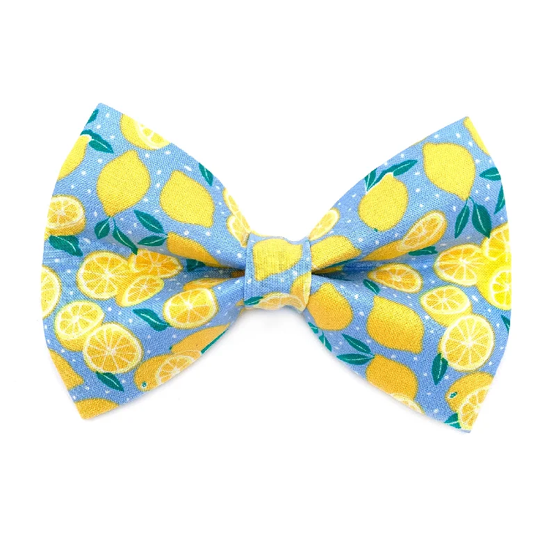- Pet vitamin complex nutrition tabletsLemon Dog Bow Tie