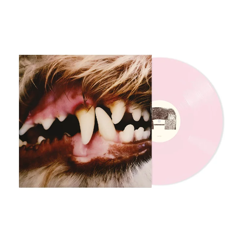  -Explosion-proof leash FOR LARGE dogsLucius (Opaque Sugar Rush Pink Vinyl) (Import)