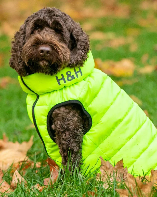- Pet diabetes prescription foodReversible Dog Puffer Jacket - Green and Navy