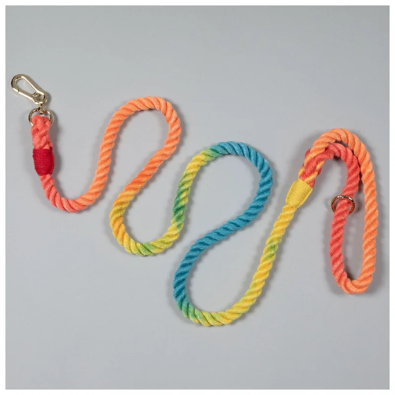 - Car dog seat beltRainbow Rope Dog Leash - 5 ft