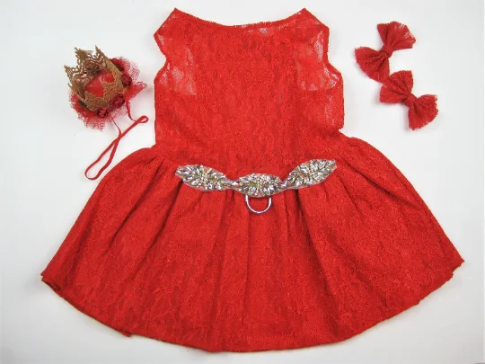 - Pet water dispenser UV sterilization versionQuinceanera Dog Dress | The Avis