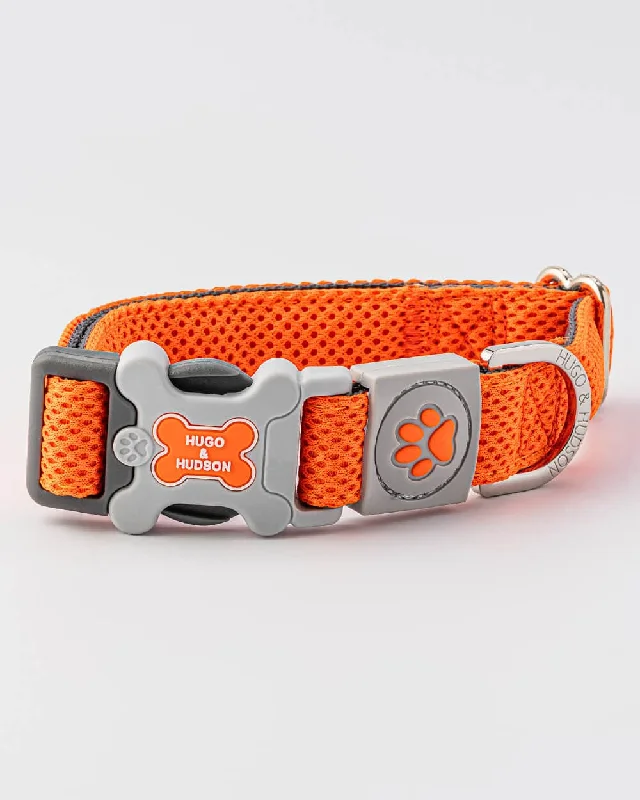 - Natural latex pet mattressMesh Dog Collar - Orange