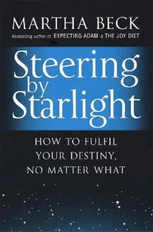 - Remote interactive pet feederSteering By Starlight