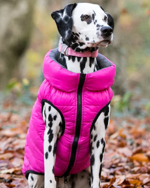 - Pregnant cat delivery room warming boxReversible Dog Puffer Jacket - Pink and Grey - Pregnant cat delivery room warming boxReversible Dog Puffer Jacket - Pink and Grey
