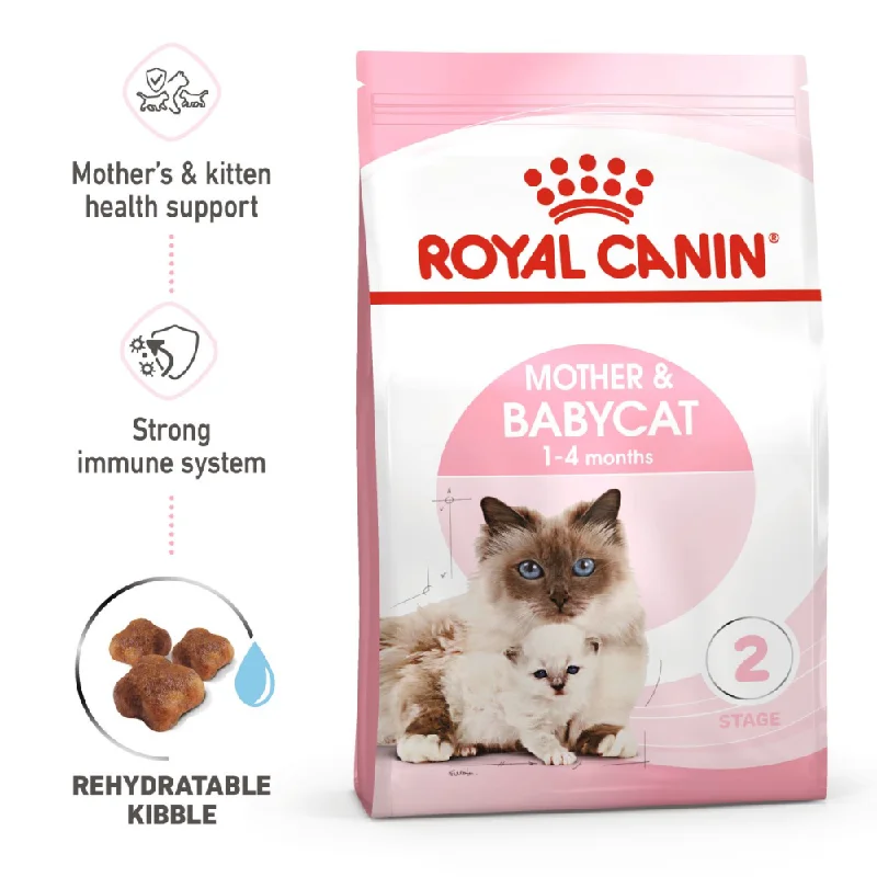 - Hamster silent running wheel to prevent chewingRoyal Canin Mother & Babycat Cat Dry Food - Hamster silent running wheel to prevent chewingRoyal Canin Mother & Babycat Cat Dry Food