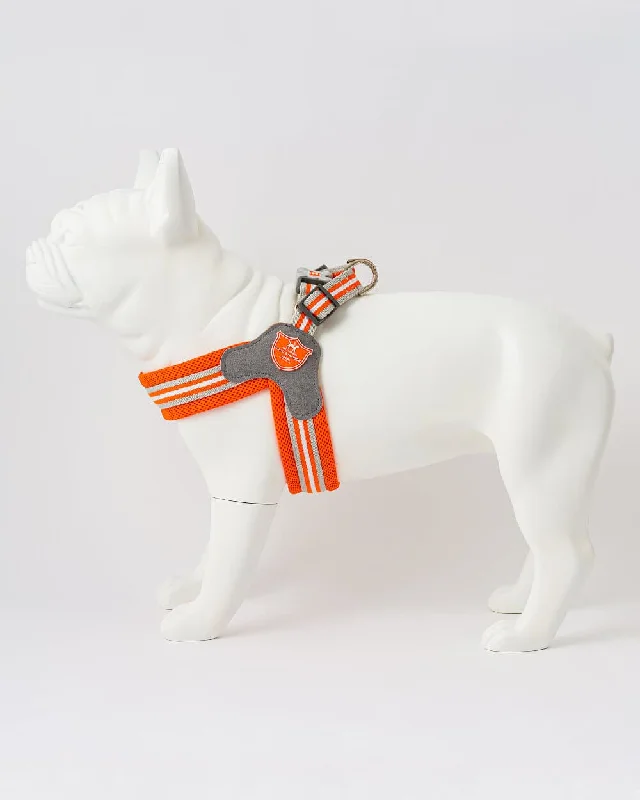 - Pet smart GPS locatorEasy Walk V Dog Harness - Orange
