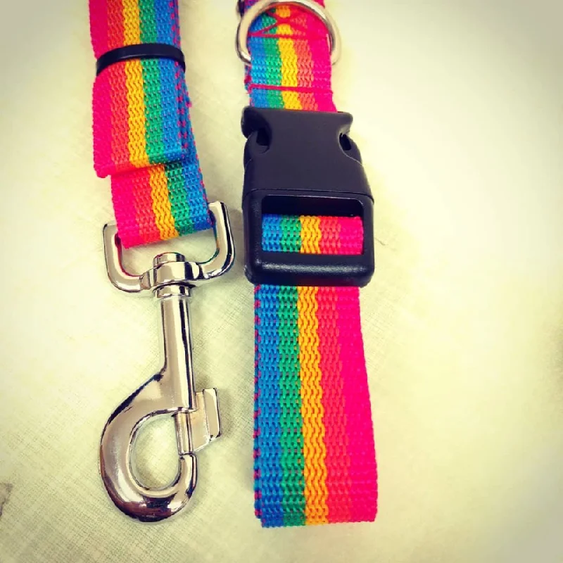 - Dog disposable foam shower gelRAINBOW LOVE DOG COLLARS, DOG LEADS AND COLLAR/LEASH SET - Dog disposable foam shower gelRAINBOW LOVE DOG COLLARS, DOG LEADS AND COLLAR/LEASH SET