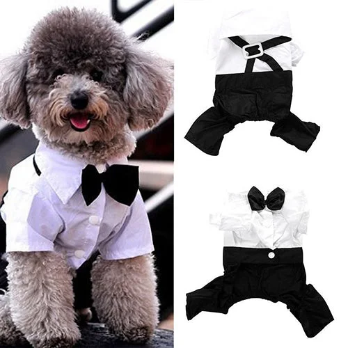 - Dog disposable foam shower gelHot! Pet Dog Cat Clothes Prince Tuxedo Bow Tie Suit Puppy Costume Jumpsuit Coat S-XXL 456fwr32 - Dog disposable foam shower gelHot! Pet Dog Cat Clothes Prince Tuxedo Bow Tie Suit Puppy Costume Jumpsuit Coat S-XXL 456fwr32