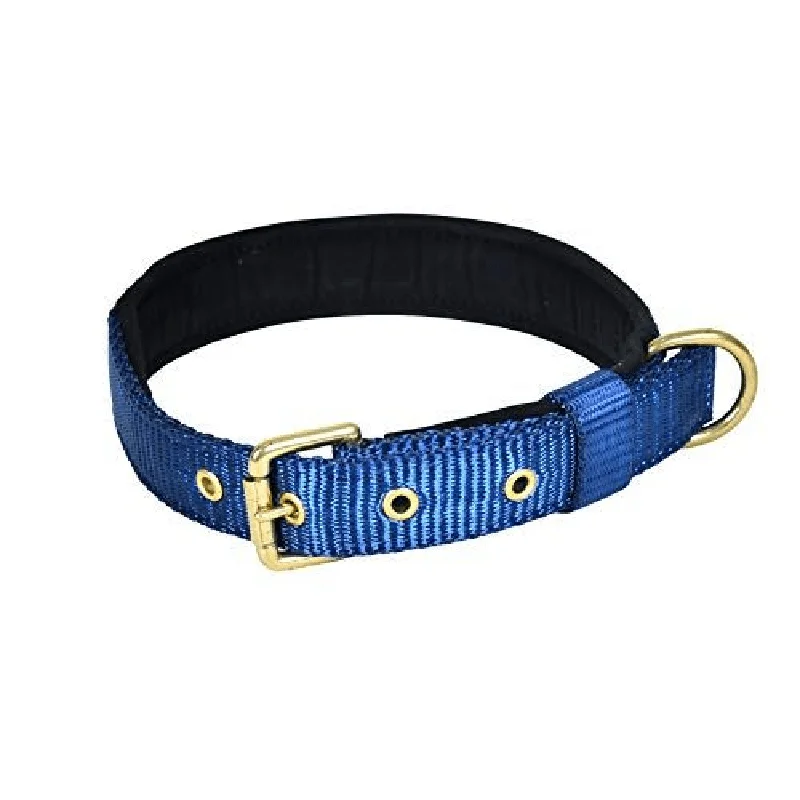 - Dog heart rate monitoring collarGlenand Petz Pure Nylon Padded Collar for Dogs (Dark Blue) - Dog heart rate monitoring collarGlenand Petz Pure Nylon Padded Collar for Dogs (Dark Blue)