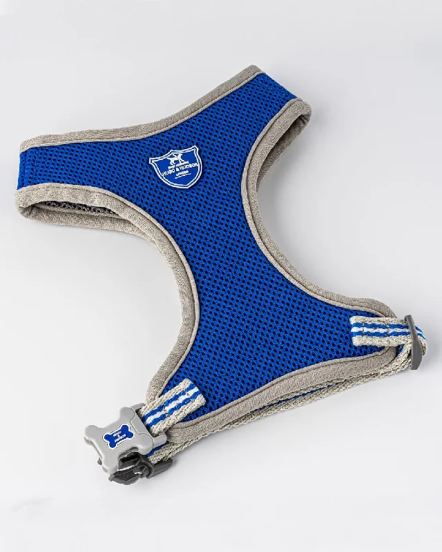 - Pet water dispenser UV sterilization versionMesh Dog Harness - Royal Blue