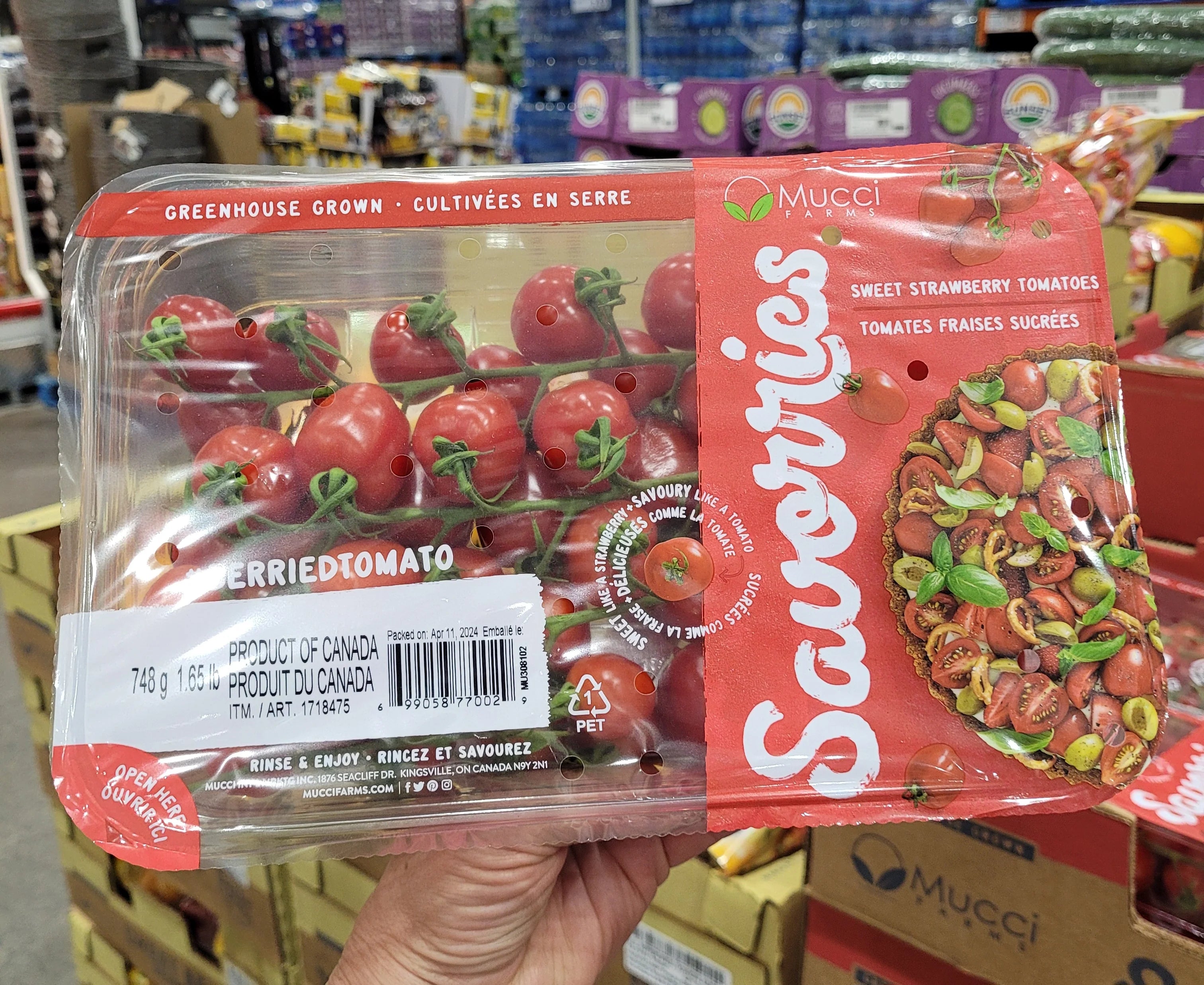  -Explosion-proof leash FOR LARGE dogsSweet Strawberry Tomatos