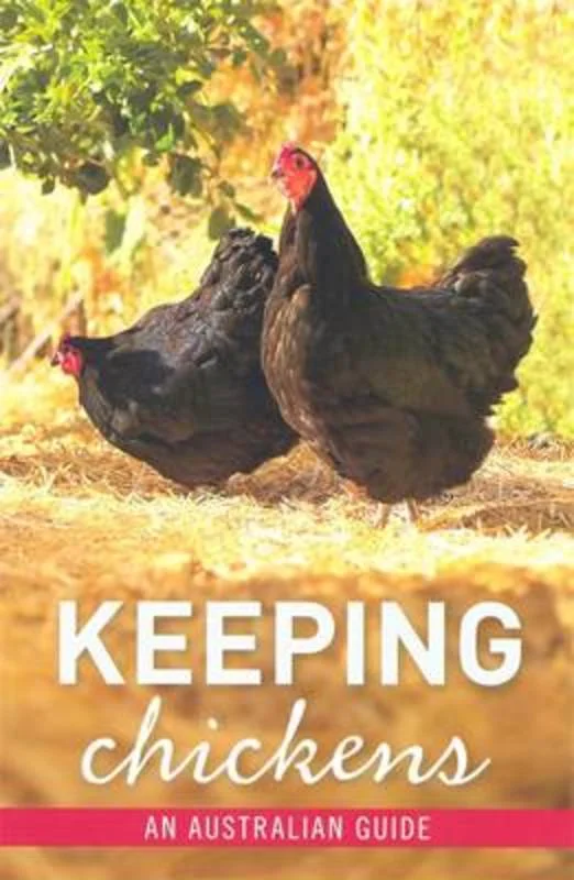 ---Keeping Chickens