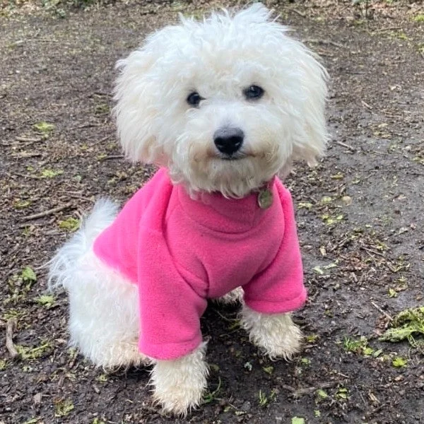 Cerise Pink