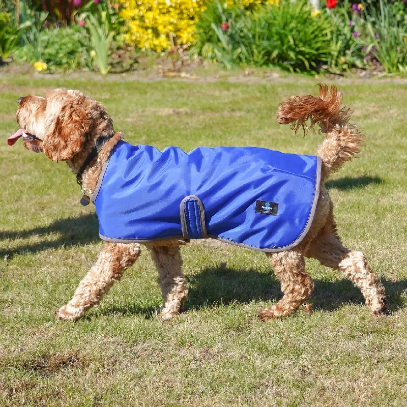  -Anti-scratch scratching board AND cat bed in oneLightweight Dog Raincoat