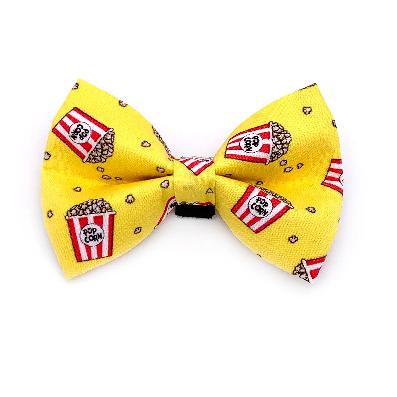 - Pregnant cat delivery room warming boxPopcorn Dog Bow Tie