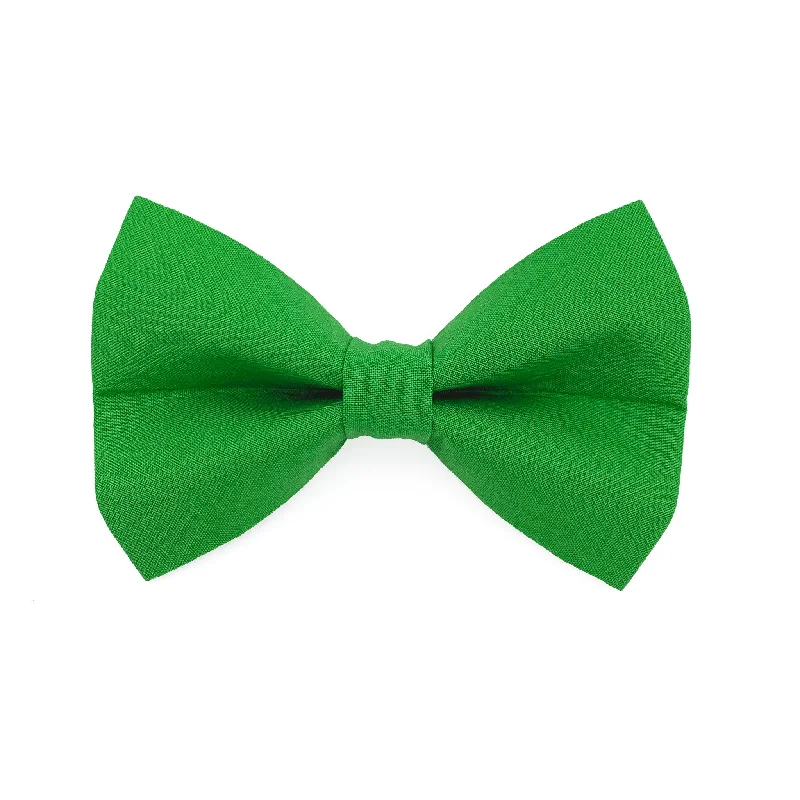 - Pet tear stain cleaning wipesGreen Dog Bow Tie