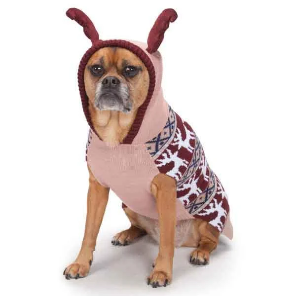 - Pregnant cat delivery room warming boxPink Antler Dog Sweater