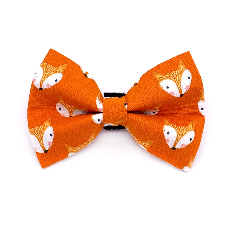 - Durable nylon dog leash wholesaleFox Dog Bow Tie