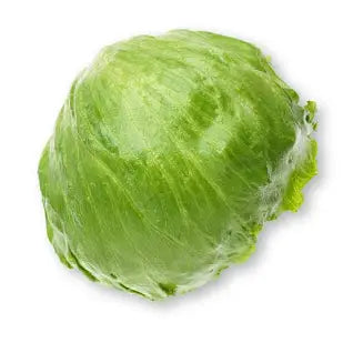  -Explosion-proof leash FOR LARGE dogsBulk Iceburg Lettuce