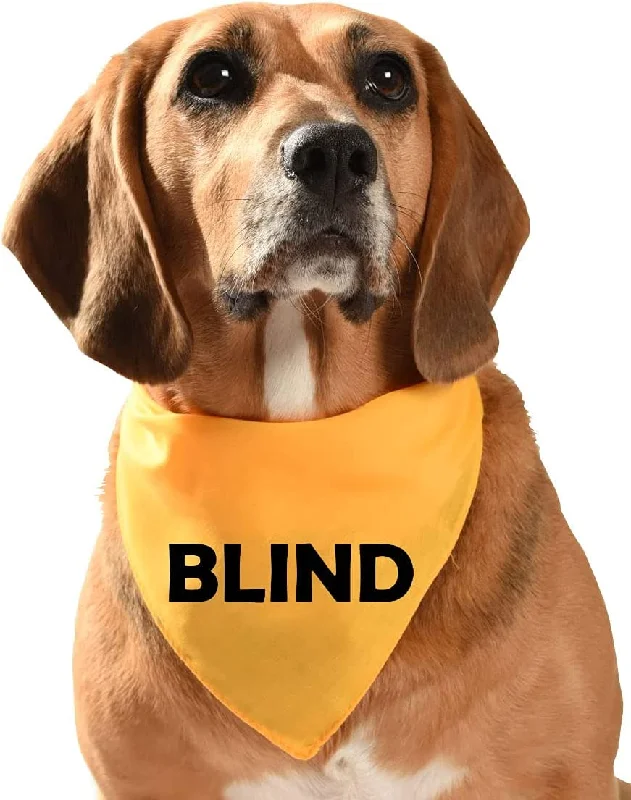 - Car dog seat beltBLIND Dog Bandana